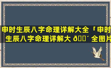 申时生辰八字命理详解大全「申时生辰八字命理详解大 🐴 全图片」